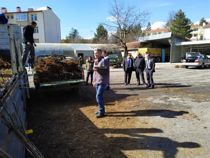 Kastamonu’da 450 Çiftçiye 14 Bin Fidan Dağıtıldı