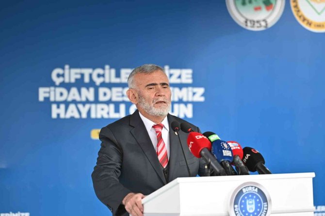 Bursa’da Kırsaldaki Çiftçilere 20 Bin Fidan Dağıtıldı