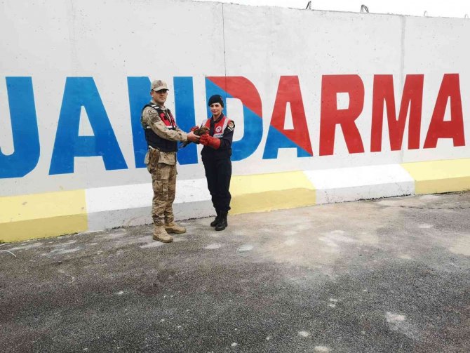 Yaralı Şahine Jandarma Şevkati