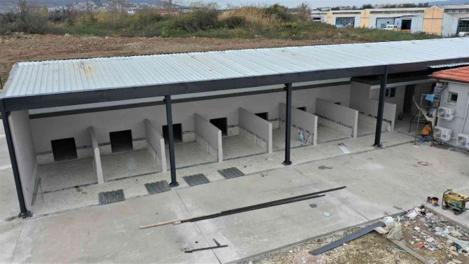 Bu Merkezde Hem Kedi Ve Köpeklerin Hem De Kuşların Yuvası Olacak