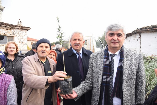 Tarım Arazisi Yanan Üreticilere Fidan Desteği