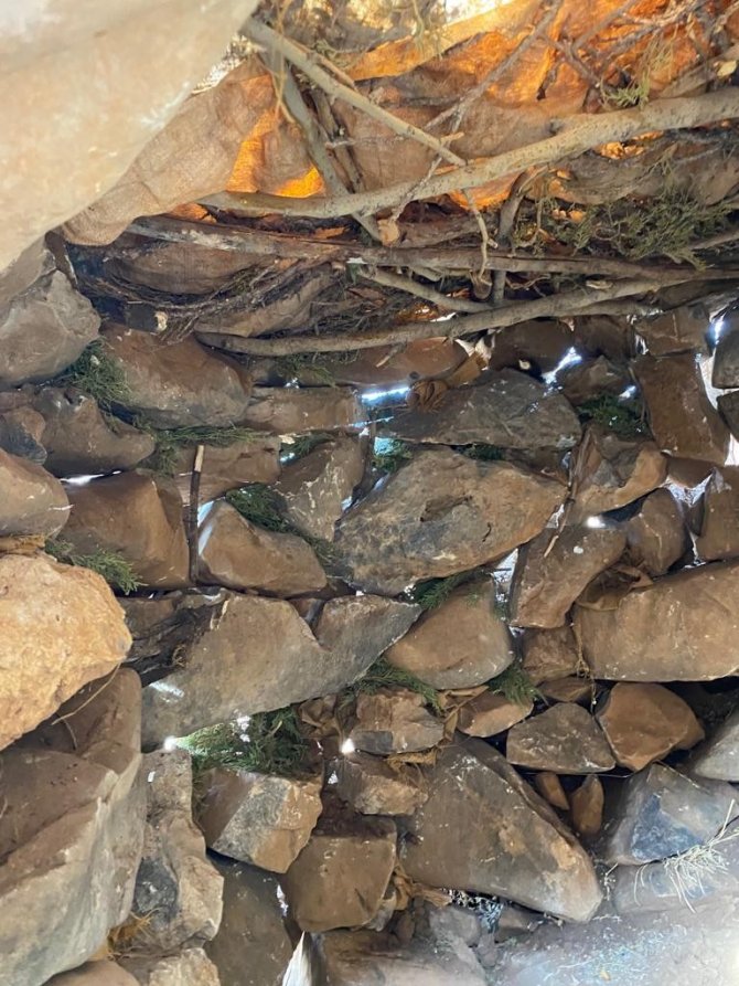 Siirt’te Kaçak Avcılardan Yabani Hayvanlara Tuzak