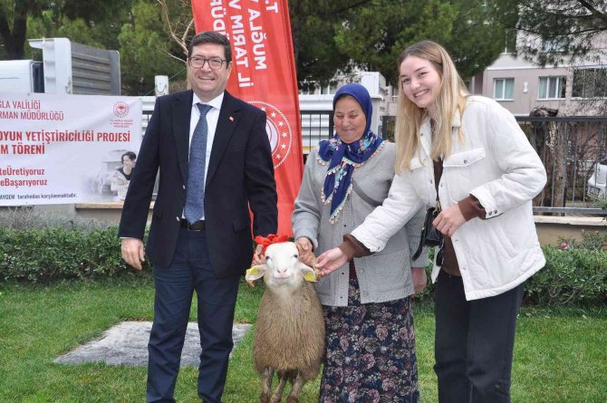 Kadın Üreticilere 400 Koyun Ve 16 Koç Dağıtıldı