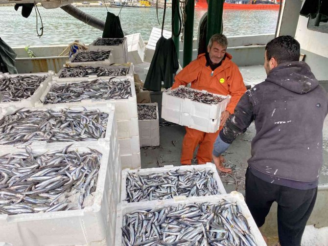 Karadeniz’de Hamsi Bereketi