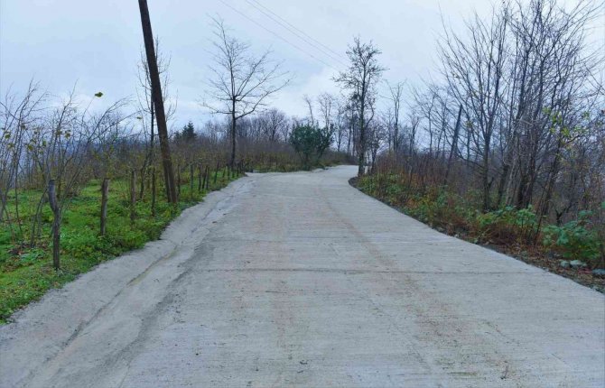 Başkan Tören: “Verimli Bir Çalışma Sezonu Geçirdik”