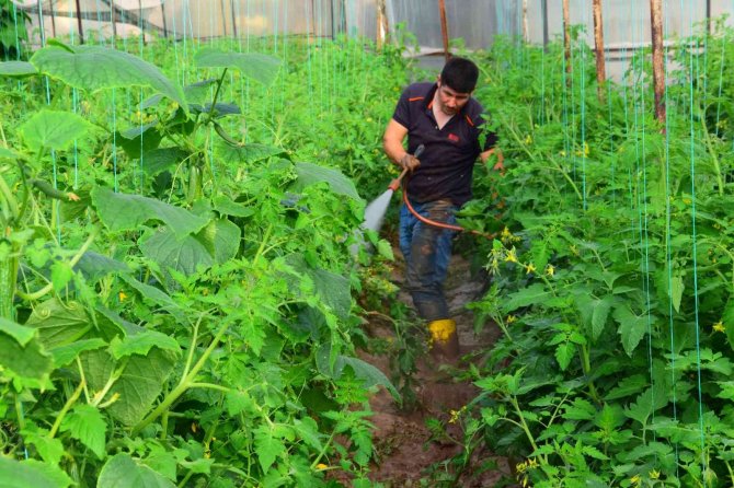 Kumluca’da Çamur İçinde Üretim
