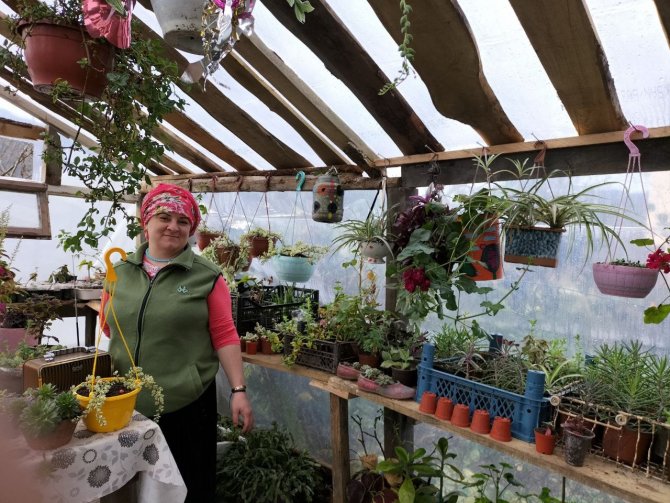 Fedakar Anne Evinin Bahçesinde Ürettiği Çiçeklerini Satarak Kızını Üniversitede Okutuyor