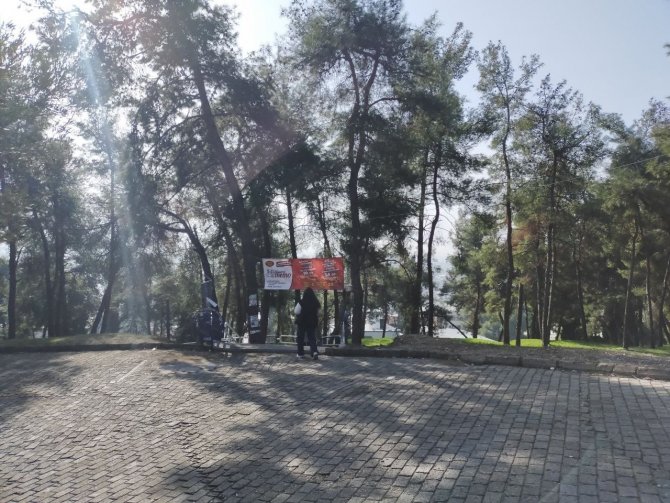 Aytepe Varyantındaki Ağaçlar Reklam Panosuna Döndü