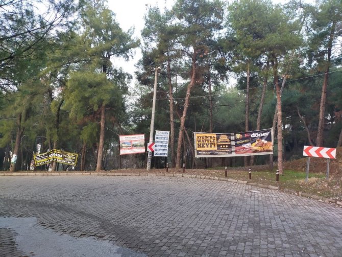 Aytepe Varyantındaki Ağaçlar Reklam Panosuna Döndü
