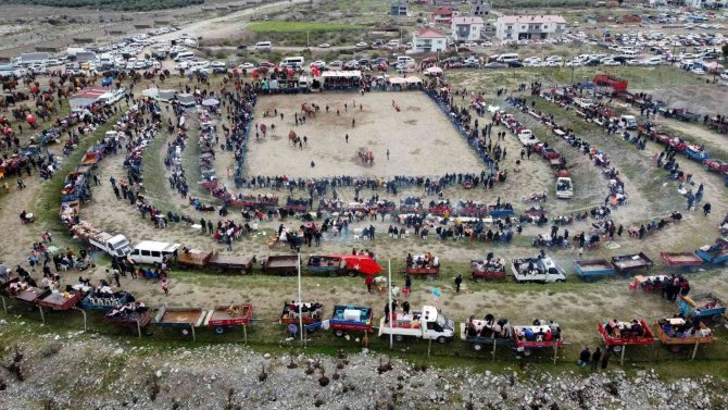 Başkan Erol’dan Deve Güreşi Şenliklerine Davet