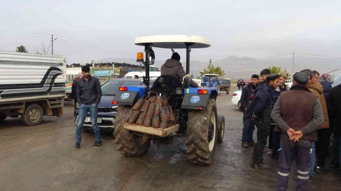 Gercüş’te Çiftçilere 35 Bin Fıstık Fidanı Dağıtıldı