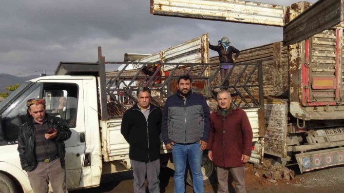 Gercüş’te Çiftçilere 35 Bin Fıstık Fidanı Dağıtıldı