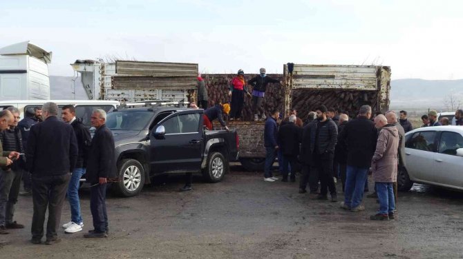 Gercüş’te Çiftçilere 35 Bin Fıstık Fidanı Dağıtıldı