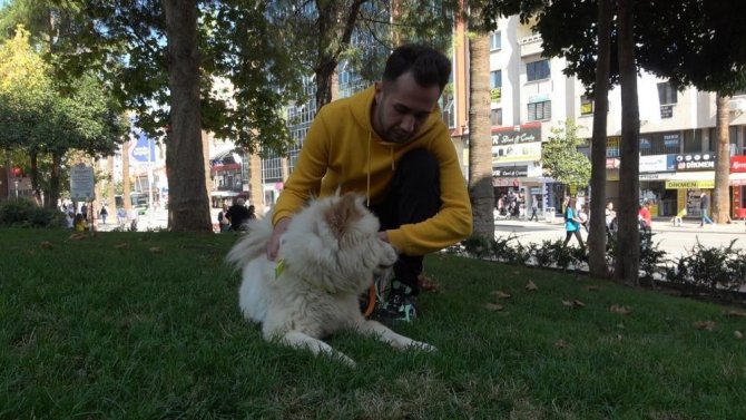 Ev Hayvanlarını Kimliklendirmeyenlere 3 Bin 642 Tl İdari Para Cezası