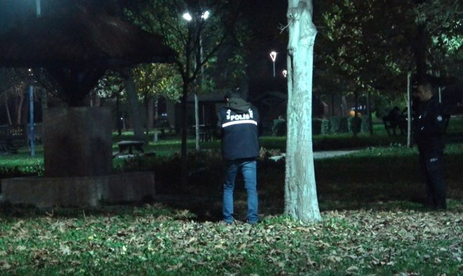Parkta Karşılaşan Çocukların Kavgasında Kan Aktı