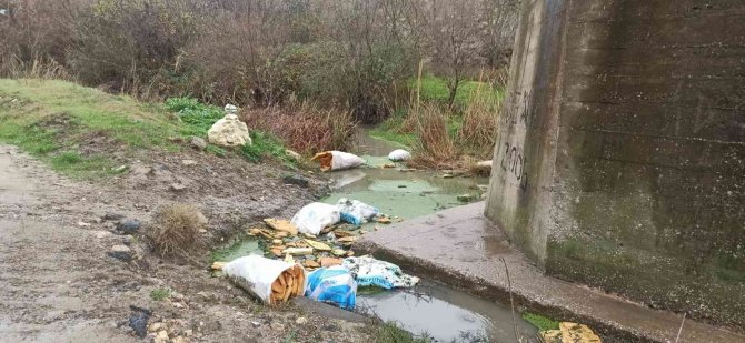 Çocukken Yüzdükleri Derede Şimdi Çöpler Yüzüyor