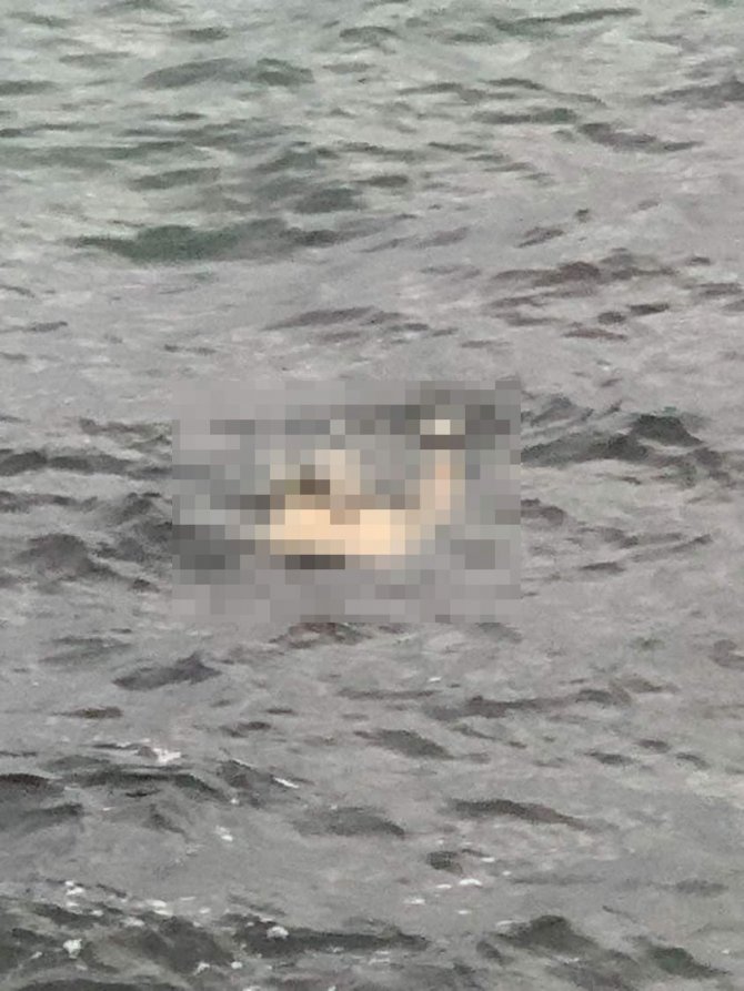 Yenikapı’da Denizden Ceset Çıkarıldı