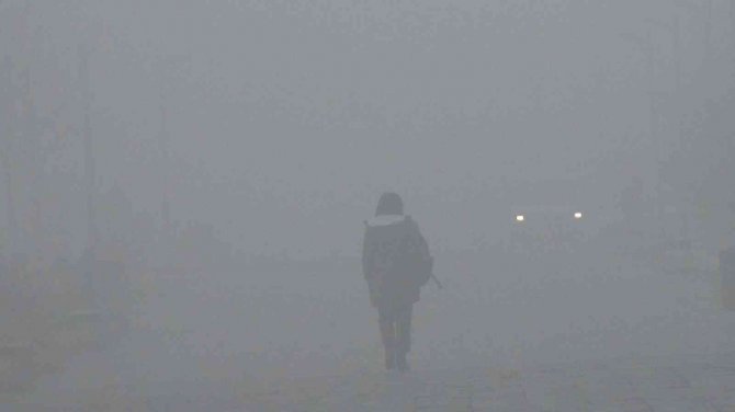 Kars’ta Sis Hayatı Olumsuz Etkiliyor