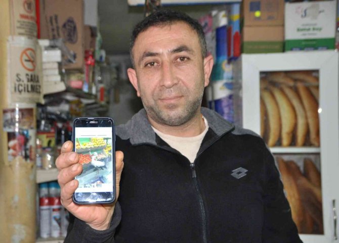 Göç Etmesi Gerekirken Yaralı Halde Bulundu, Esnaf Elleri İle Besledi