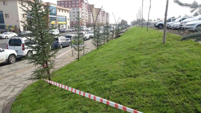 Genç Caddesi’ndeki Yürüyüş Ve Dinlenme Alanı Tamamlandı