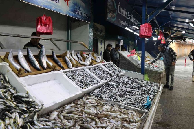 Tezgahlar Karadeniz Hamisi İle Doldu Satışlar Arttı