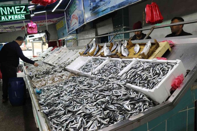 Tezgahlar Karadeniz Hamisi İle Doldu Satışlar Arttı