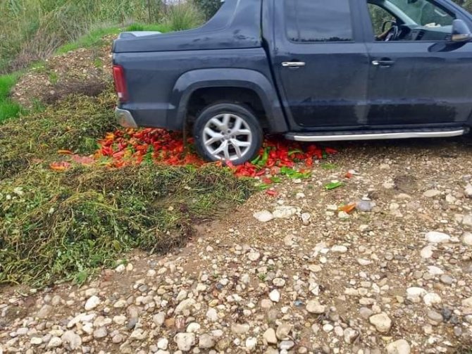 Pestisit Denetimlerinde 12 Kişiye 49 Bin Tl Ceza