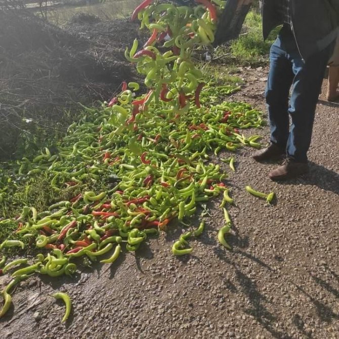 Pestisit Denetimlerinde 12 Kişiye 49 Bin Tl Ceza