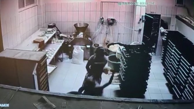 Türkiye’nin Yüreğini Sızlatan Üvey Baba Dehşetine 4 Yıl 2 Ay Hapis Cezası