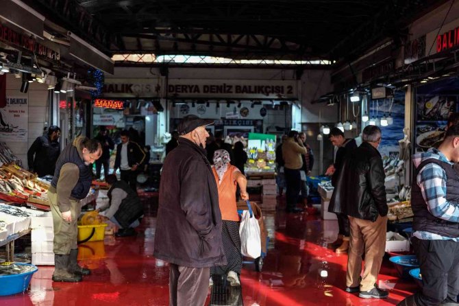 İ̇stanbul’da Balık Tezgahlarının En Ucuz Balığı 70 Tl İle Hamsi Oldu
