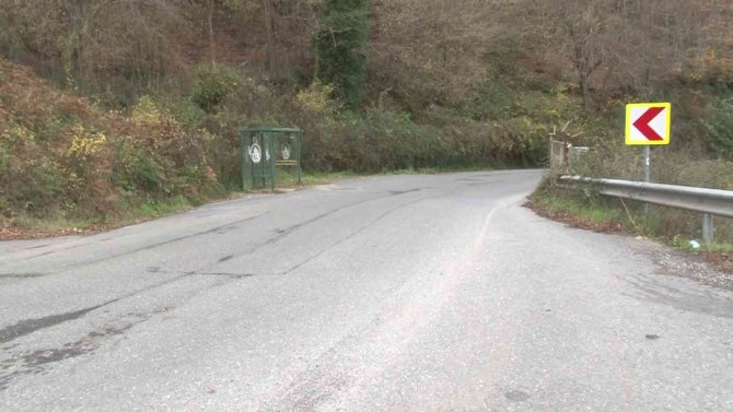 Beykoz’da Aç Kalan Domuzlar Yerleşim Yerlerine İndi