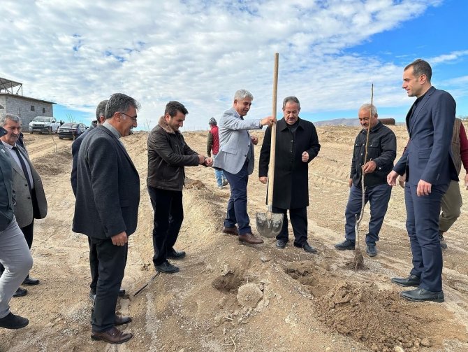 Adilcevaz’da Kurulan “Ceviz Gen Bahçesi” Çiftçinin Yüzünü Güldürdü