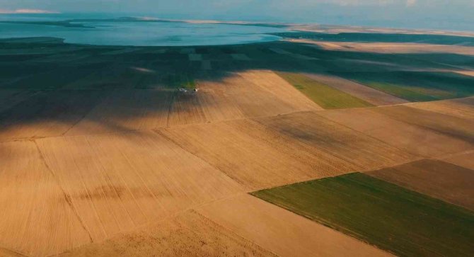 Nesli Tükenmekte Olan Toy Kuşu Dron İle Görüntülendi