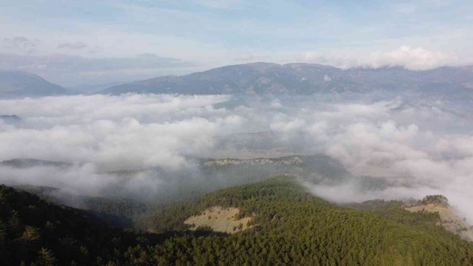 Bu Manzara Görülmeye Değer
