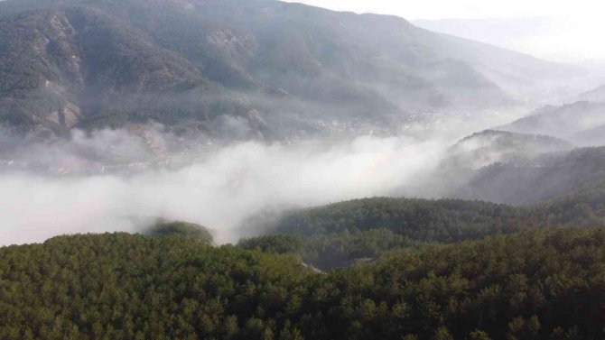 Bu Manzara Görülmeye Değer