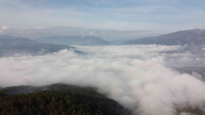 Bu Manzara Görülmeye Değer