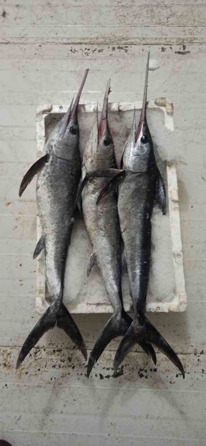 Uygunsuz Avlanmaya Geçit Yok