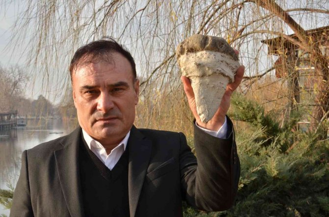 Elbistan’da Köpekbalığının Atası Sayılan 20 Milyon Yıllık Megalodon Dişi Bulundu