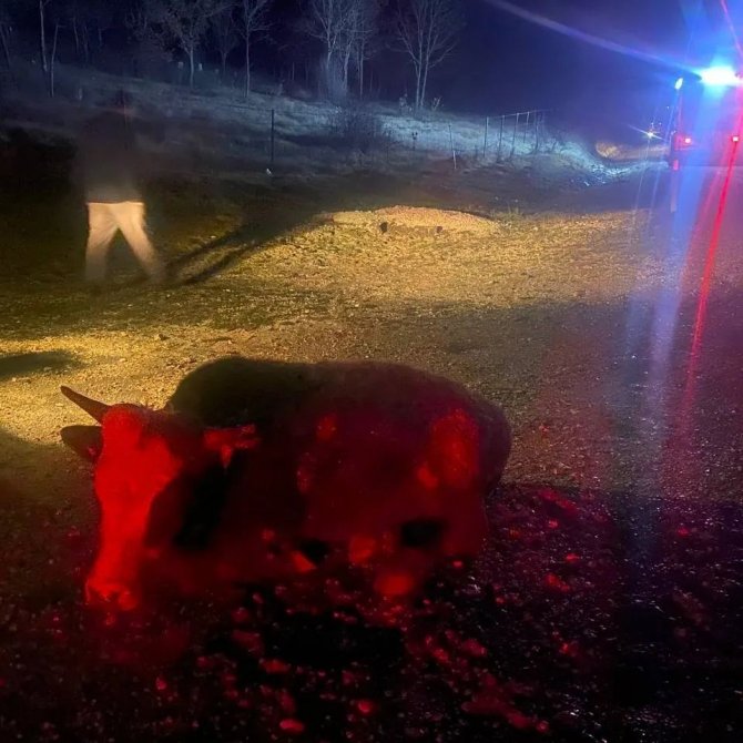 Karabük’te Trafik Kazası: 1 Ölü