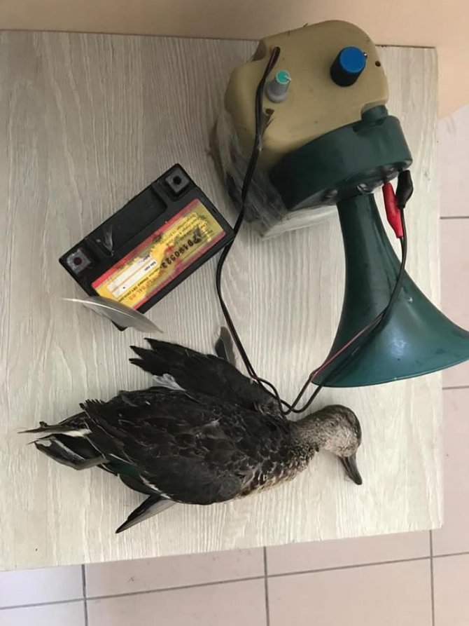 Köyceğiz’de Yasak Bölgede Av Yapan Şahıs Yakalandı