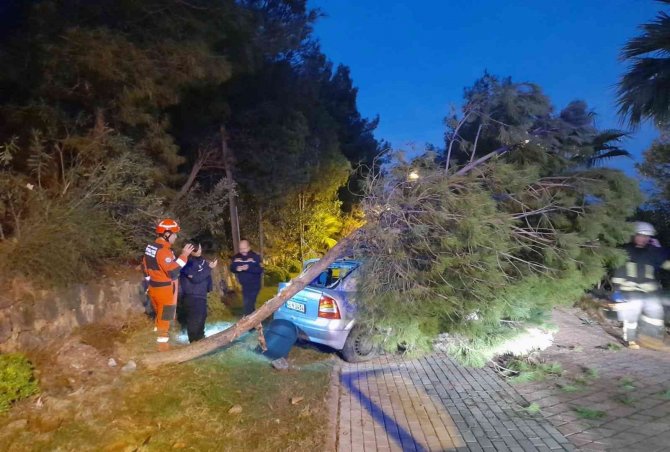 Marmaris’te Araç Seyir Tepesinden Sahile Uçtu