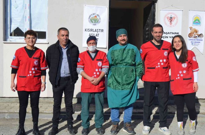 Varto’da Sokak Hayvanlarını Aşılama Ve Küpeleme Çalışması