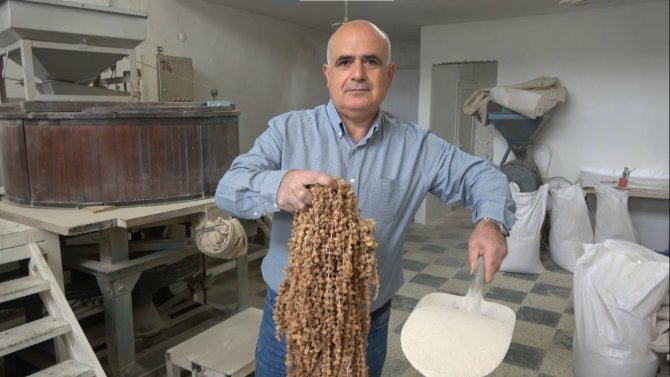 Doğada Çok Zor Bulunuyor, Kilosu 3 Bin Liradan Satılıyor