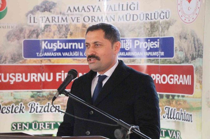 Vali Masatlı: “Bu Yıl Ürün Rekoltelerimiz Rekor Kırdı”