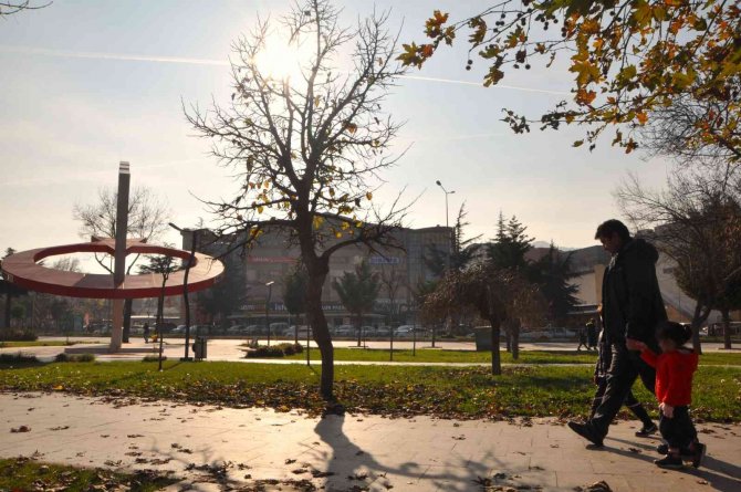 Kış Güneşinin Tadını Çıkarttılar