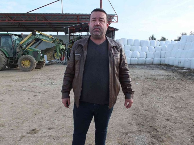 Mısır Silajına İlgi Arttı