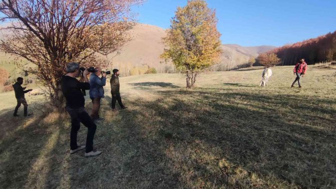 Tatvan’dan Kartpostallık Kareler