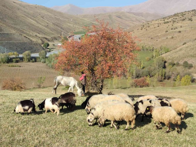 Tatvan’dan Kartpostallık Kareler