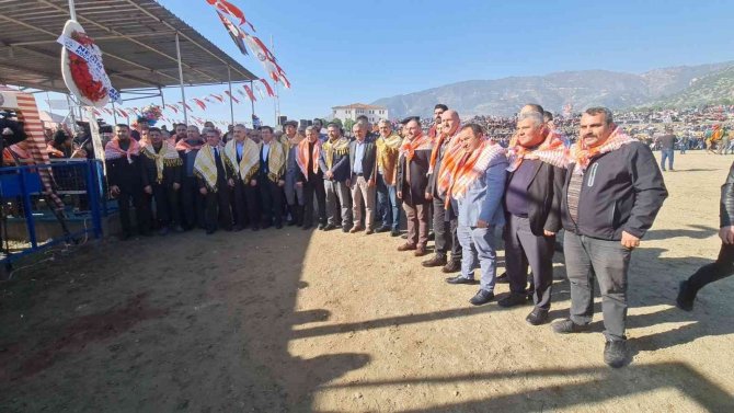 Aydın’da Ünlü 150 Pehlivan Deve Kıran Kırana Mücadele Etti