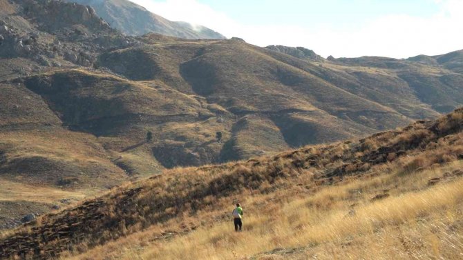 Konyaaltı, Otlakları Gübreliyor